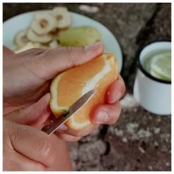 Cubiertos Swiss Advance Crono N5 -Acampar Equipos Tienda 215497e69b1ef6d57630f6966faef74f4e52274c E23SWISBIV378475 SWIS0721838 906