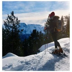 Bastones Guidetti B-Light Carbon/Alu W Rubis 125cm -Acampar Equipos Tienda 4fe9b8dd4f9f630a101f370fbc950cc0e676cccb E23GUIDBAT378995 GUID0714447 909