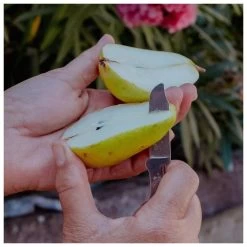 Cubiertos Swiss Advance Crono N5 -Acampar Equipos Tienda 5cfc58de7c0a208f94b78681f6c6ad6fa527e8ae E23SWISBIV378475 SWIS0721838 908