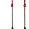 Bastones Ferrino Stick Nuptse Rouge -Acampar Equipos Tienda 991be8cd55dbc4d2b5847da61b85aa667a254c2d E22FERRBAT203195 FERR0720001 0