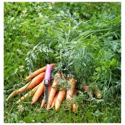 Cuchillos/navajas Opinel Mon Premier Opinel N°7 Fuchsia -Acampar Equipos Tienda a97d65136ba2dab86035e9527a89590f48e907ab E23OPINBIV353104 OPIN0214600 903