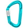 Mosquetones Edelrid Pure Screw III Icemint