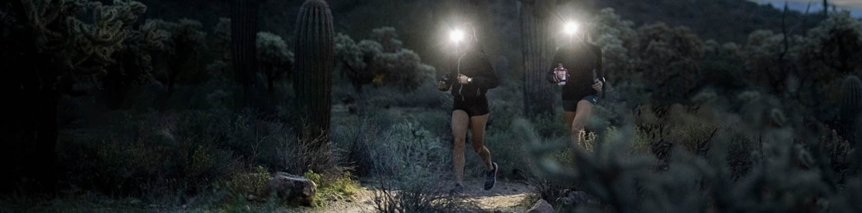 Acampar Equipos Tienda -Acampar Equipos Tienda dgdfg